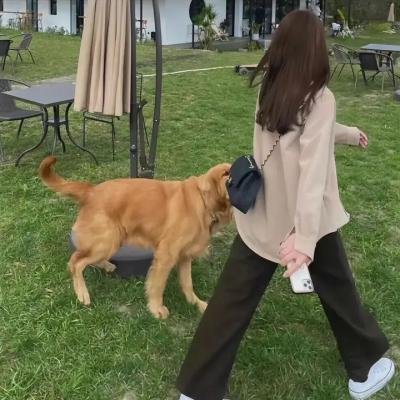 黑炮事件